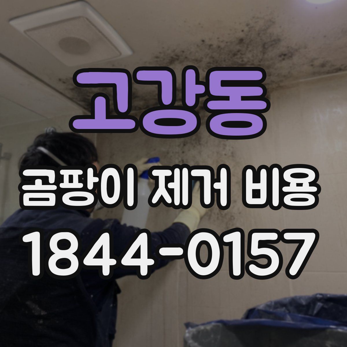 고강동 곰팡이 제거 비용