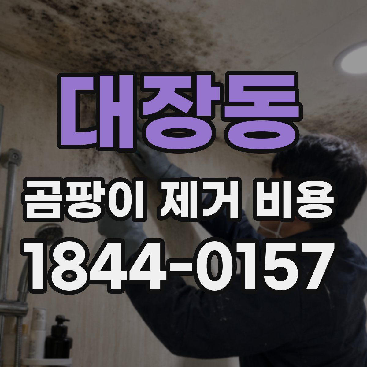 대장동 곰팡이 제거 비용