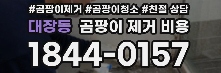 대장동 곰팡이 제거 비용