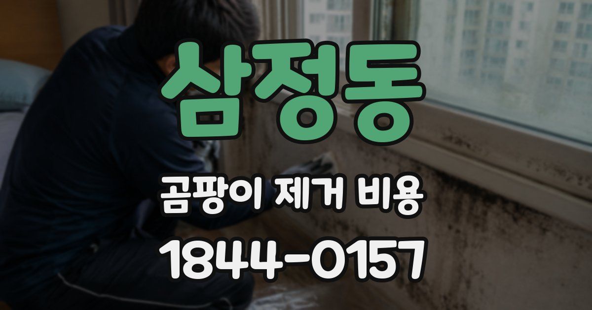 삼정동 곰팡이 제거 비용