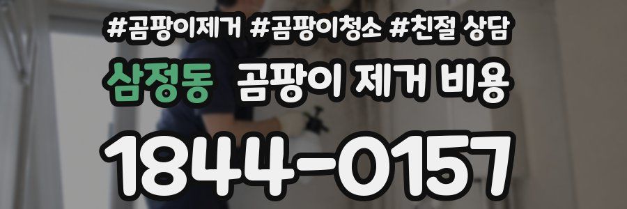 삼정동 곰팡이 제거 비용
