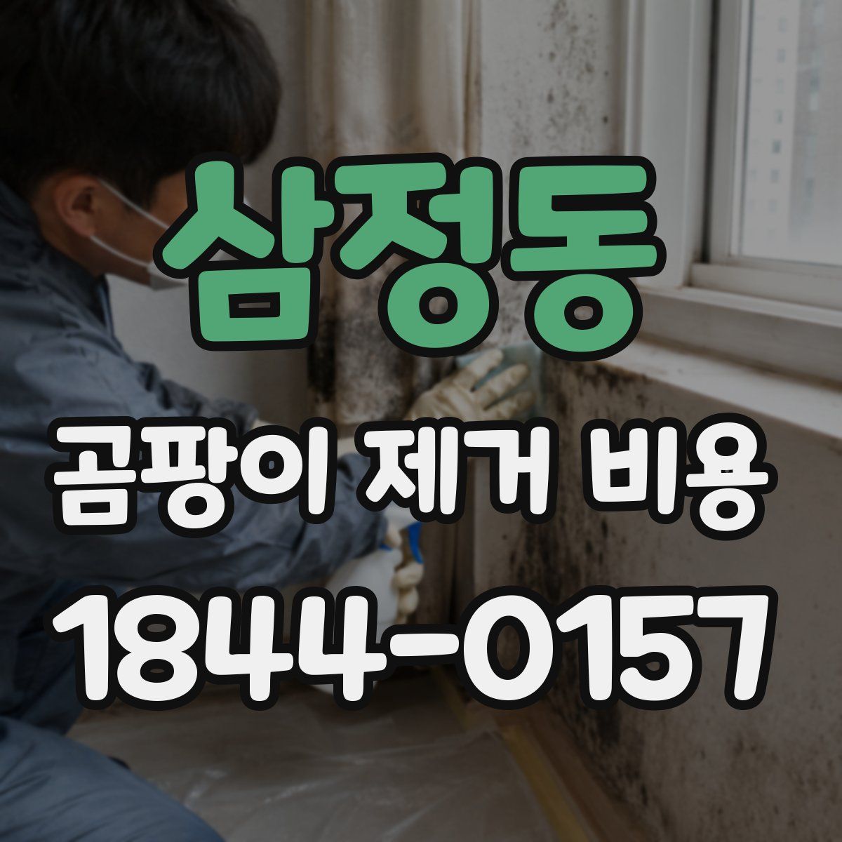 삼정동 곰팡이 제거 비용