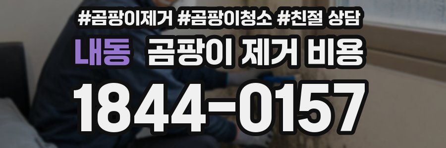 내동 곰팡이 제거 비용