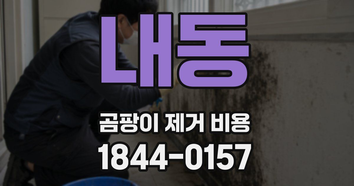 내동 곰팡이 제거 비용
