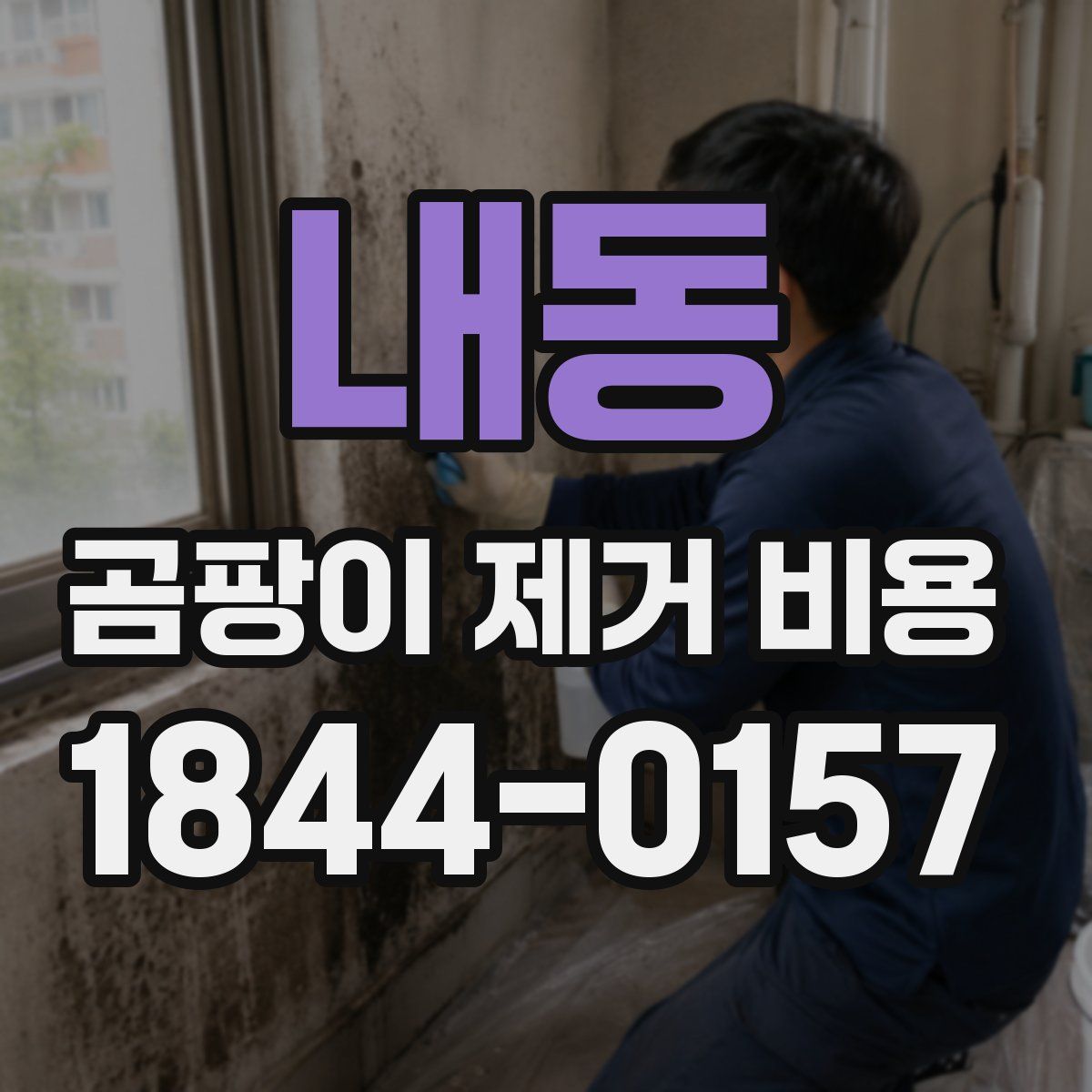 내동 곰팡이 제거 비용