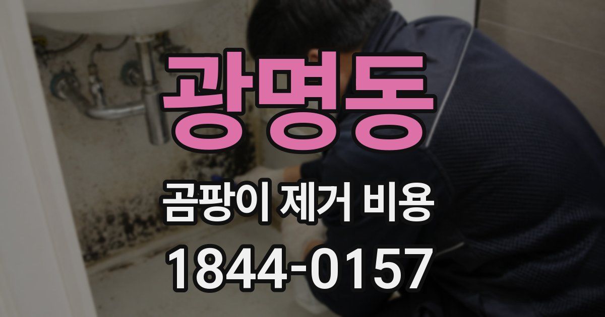 광명동 곰팡이 제거 비용
