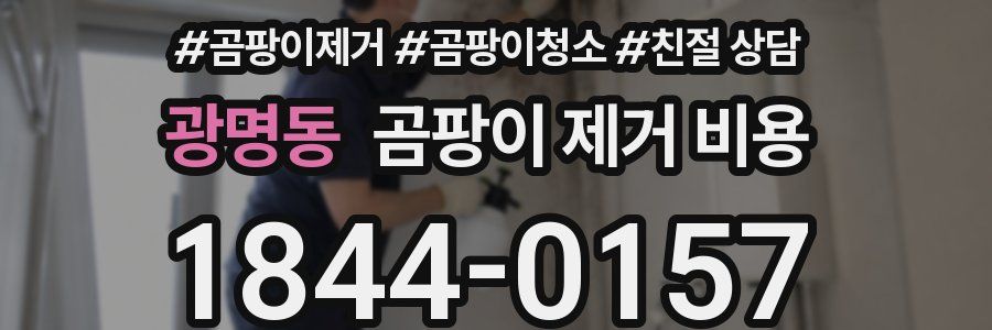 광명동 곰팡이 제거 비용
