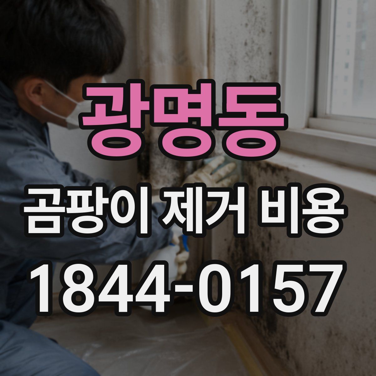 광명동 곰팡이 제거 비용