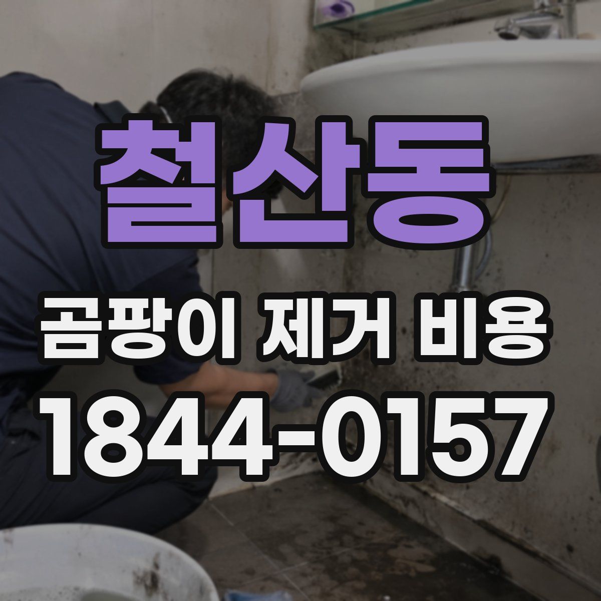 철산동 곰팡이 제거 비용