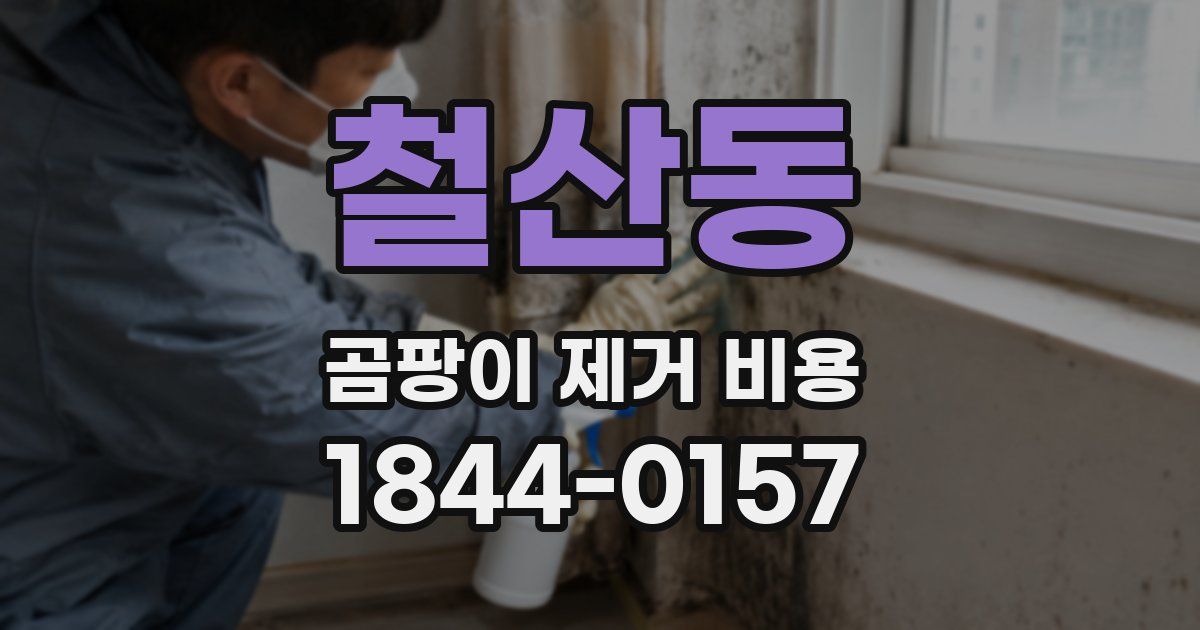 철산동 곰팡이 제거 비용