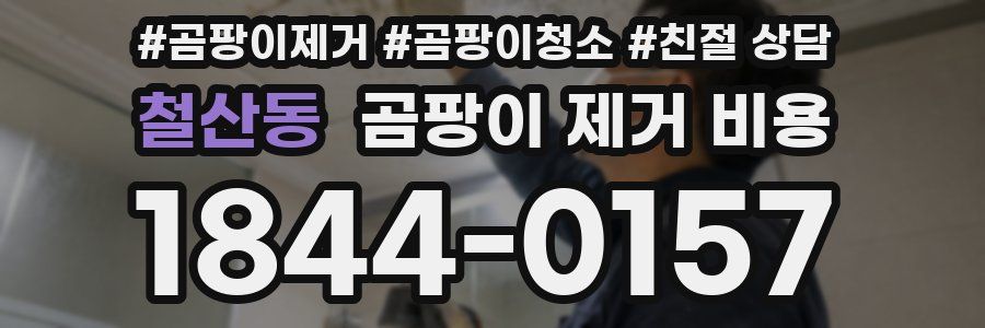 철산동 곰팡이 제거 비용