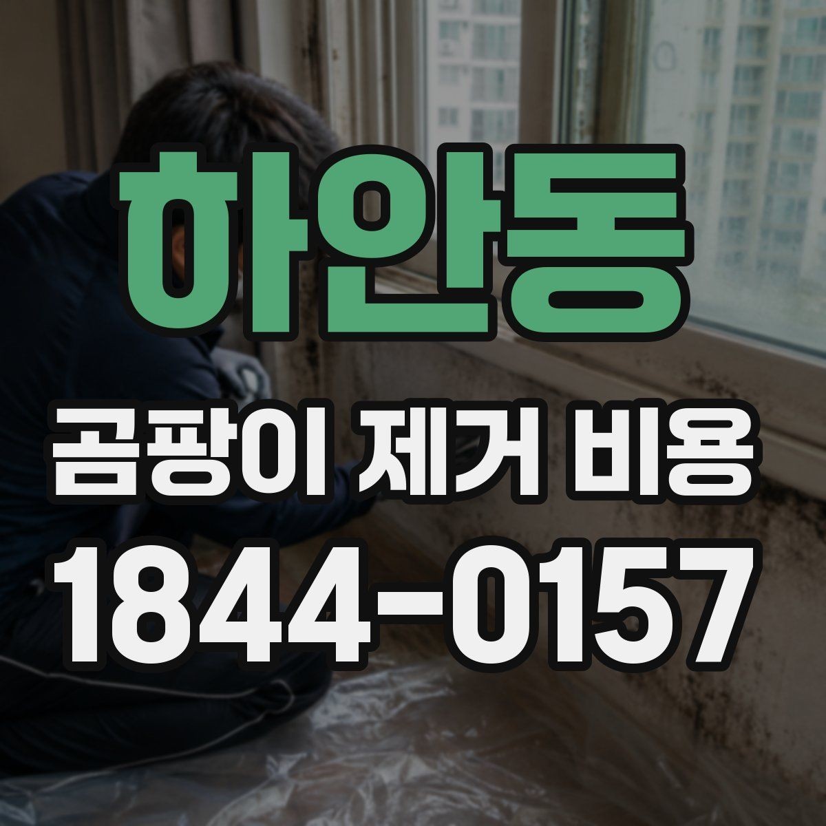 하안동 곰팡이 제거 비용 견적 받을 때 살펴볼 항목