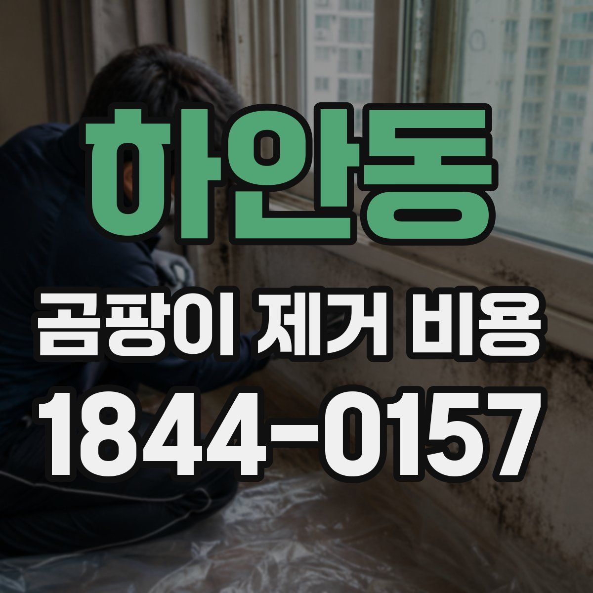 하안동 곰팡이 제거 비용