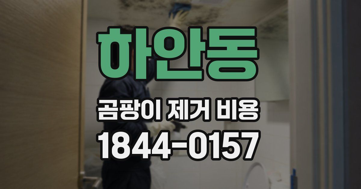 하안동 곰팡이 제거 비용