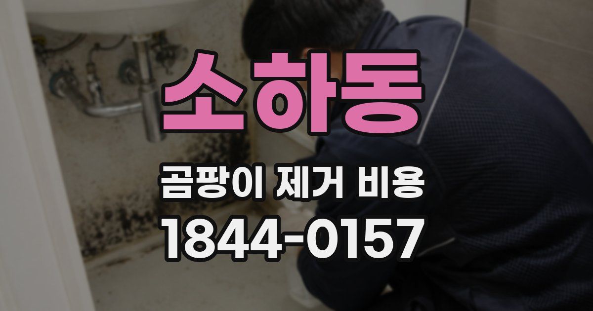 소하동 곰팡이 제거 비용