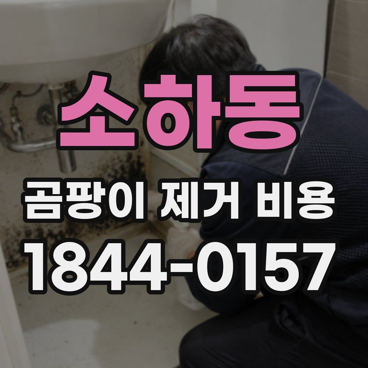 소하동 곰팡이 제거 비용