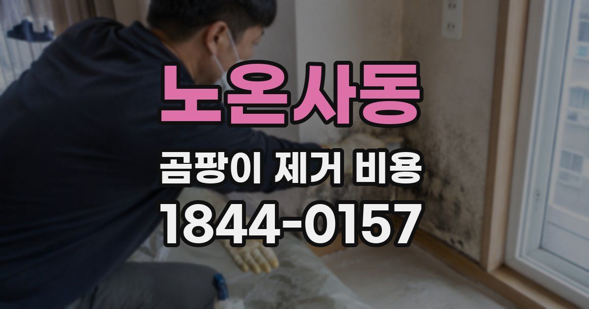 노온사동 곰팡이 제거 비용