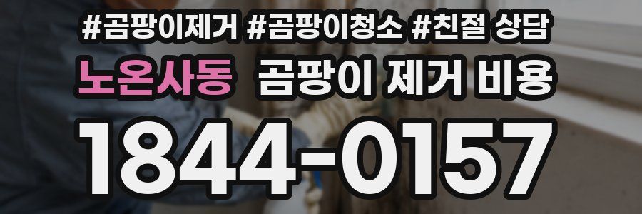 노온사동 곰팡이 제거 비용