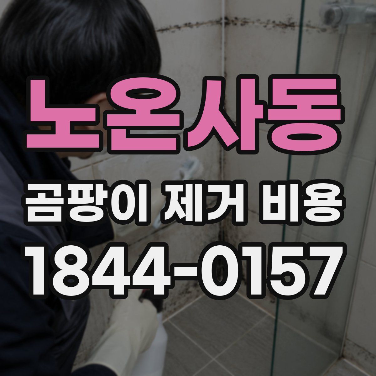 노온사동 곰팡이 제거 비용
