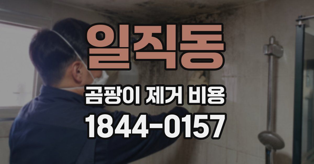 일직동 곰팡이 제거 비용