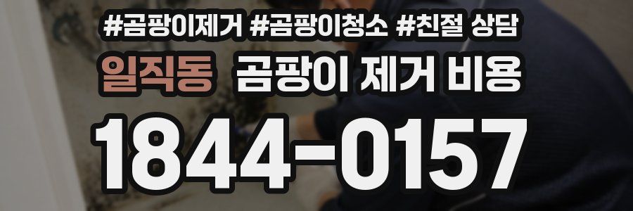 일직동 곰팡이 제거 비용