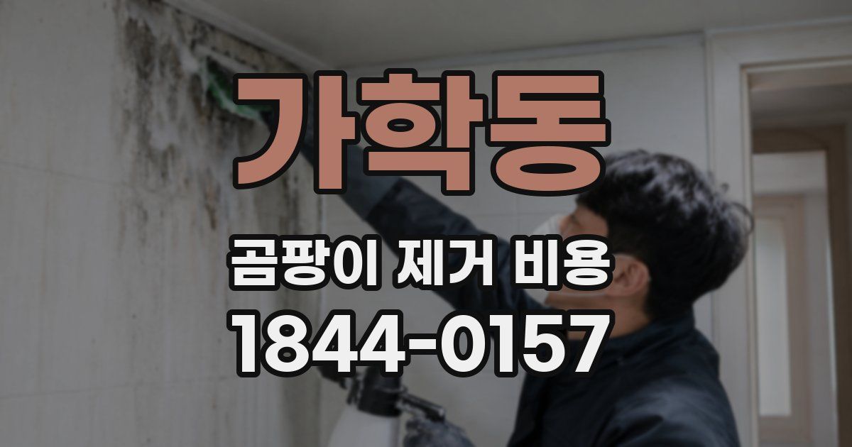 가학동 곰팡이 제거 비용