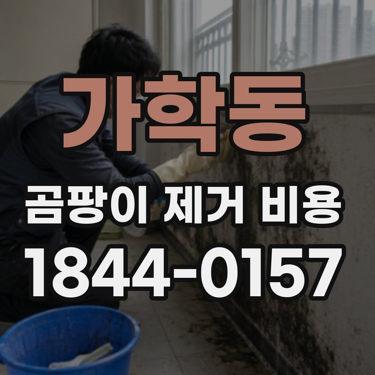 가학동 곰팡이 제거 비용