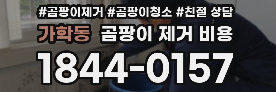 가학동 곰팡이 제거 비용