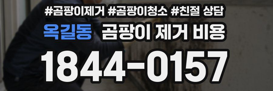 옥길동 곰팡이 제거 비용