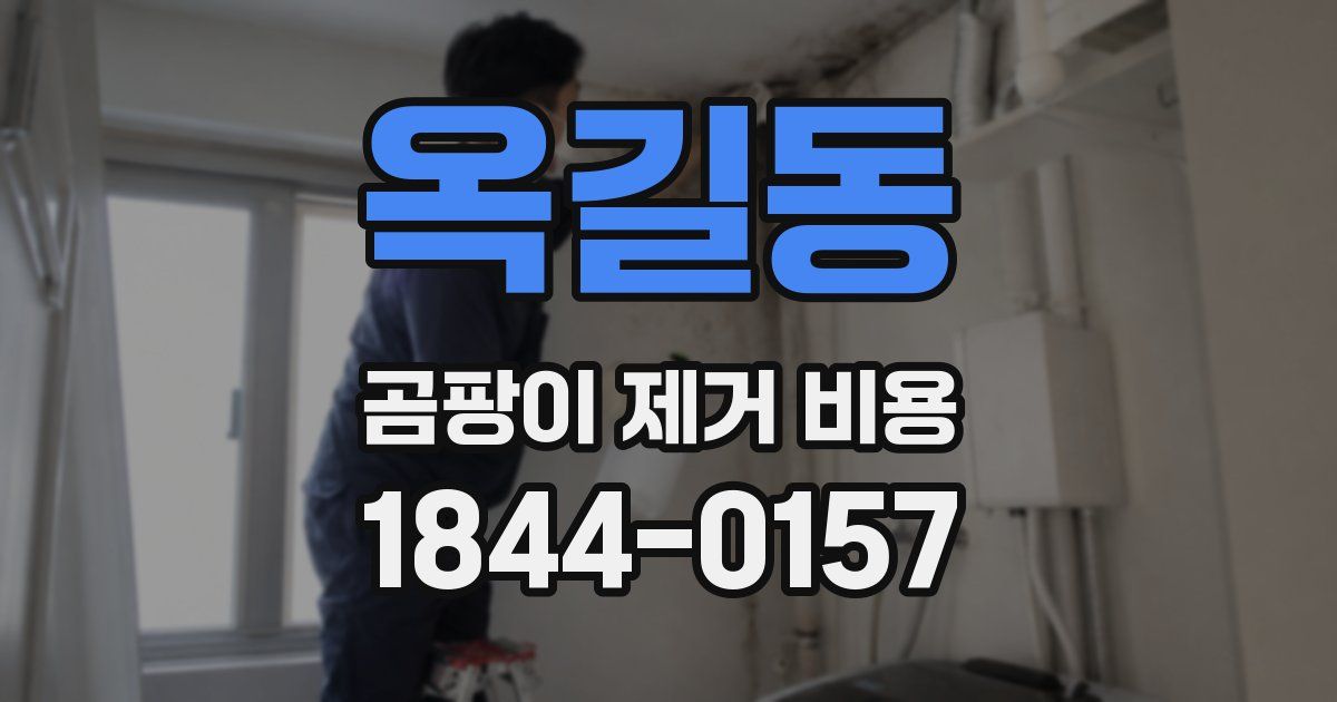 옥길동 곰팡이 제거 비용