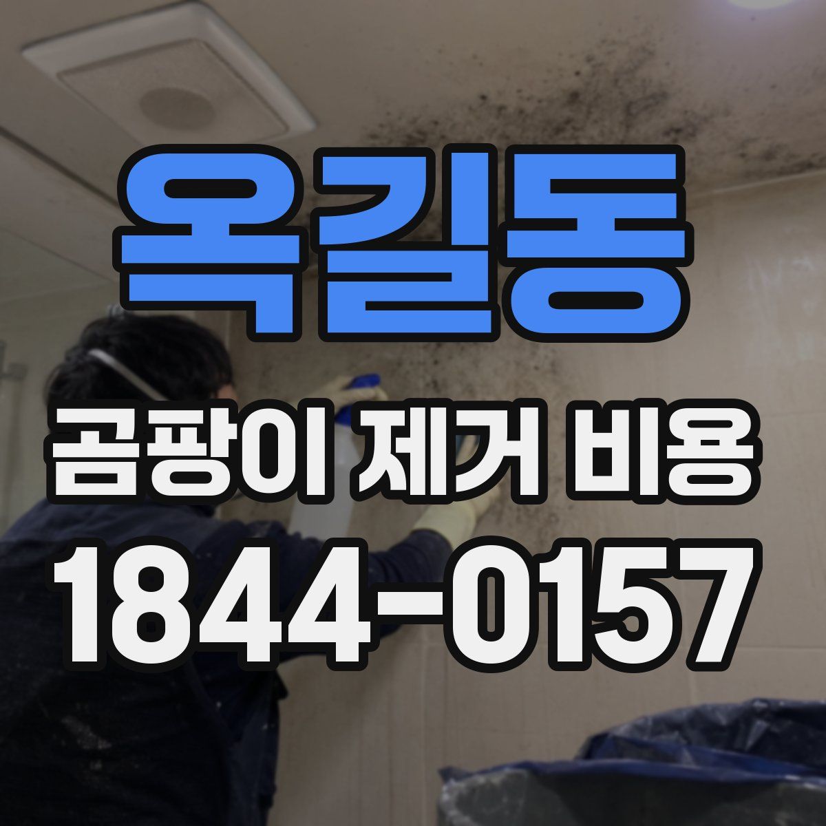 옥길동 곰팡이 제거 비용