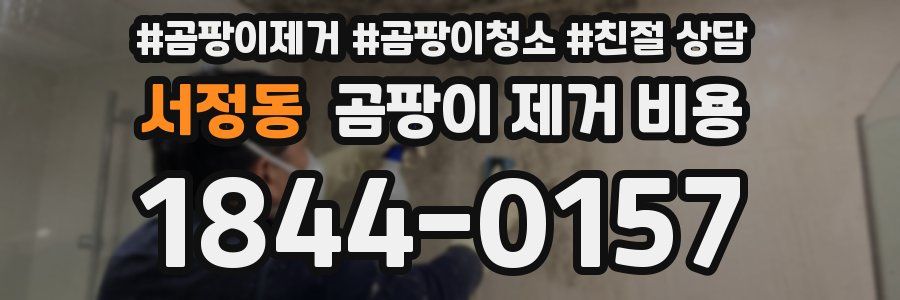 서정동 곰팡이 제거 비용