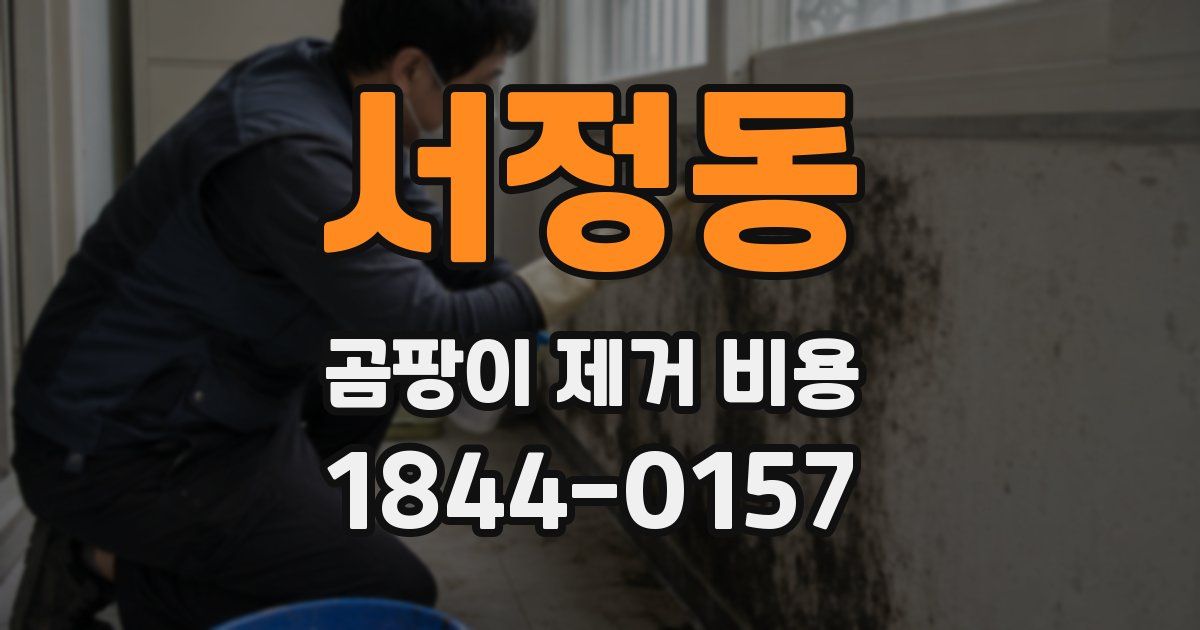 서정동 곰팡이 제거 비용