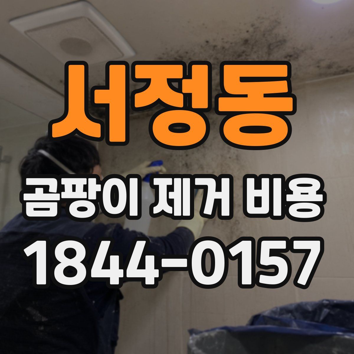 서정동 곰팡이 제거 비용