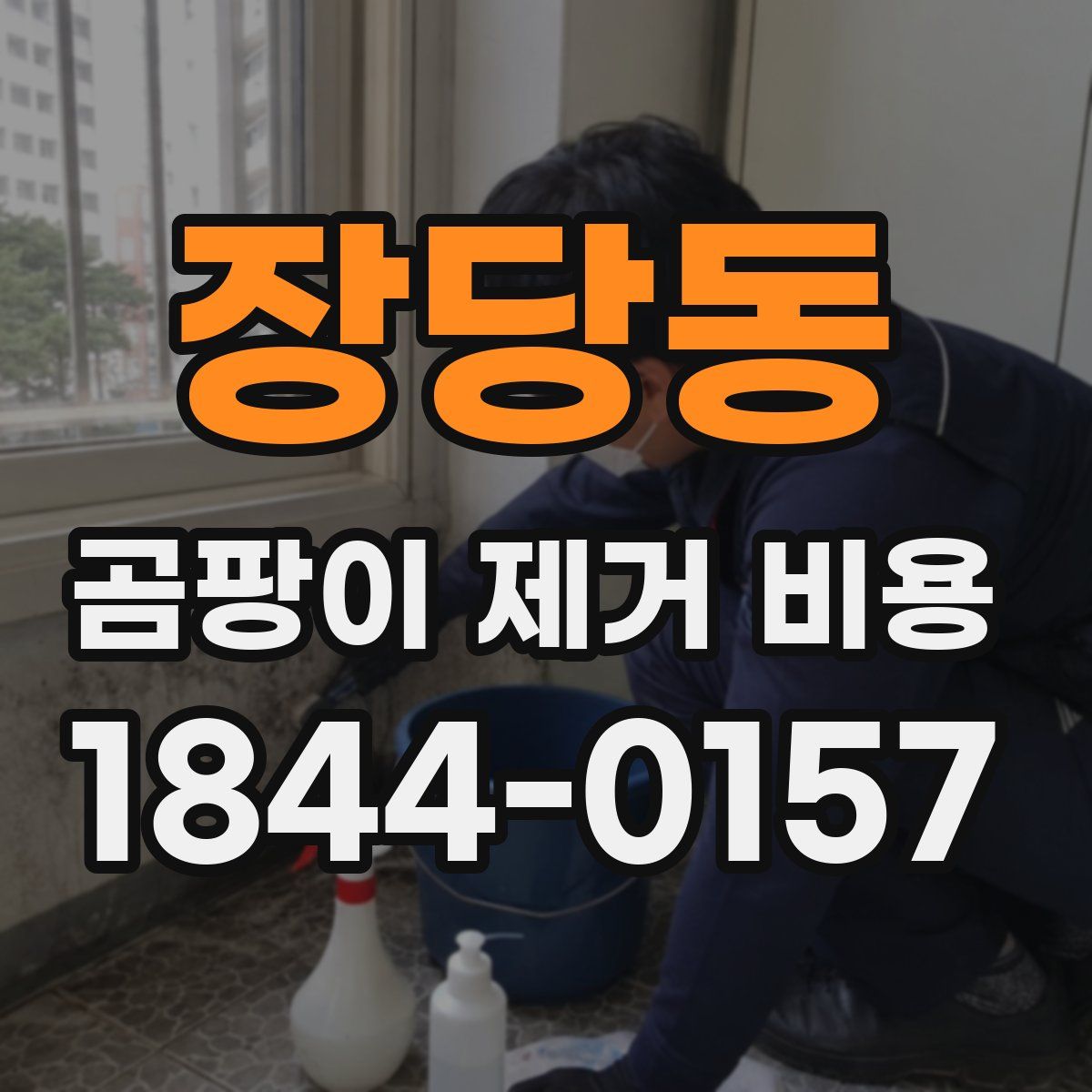 장당동 곰팡이 제거 비용