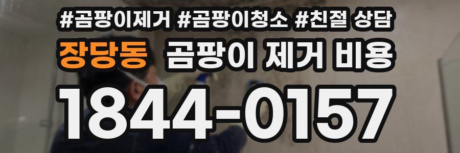 장당동 곰팡이 제거 비용
