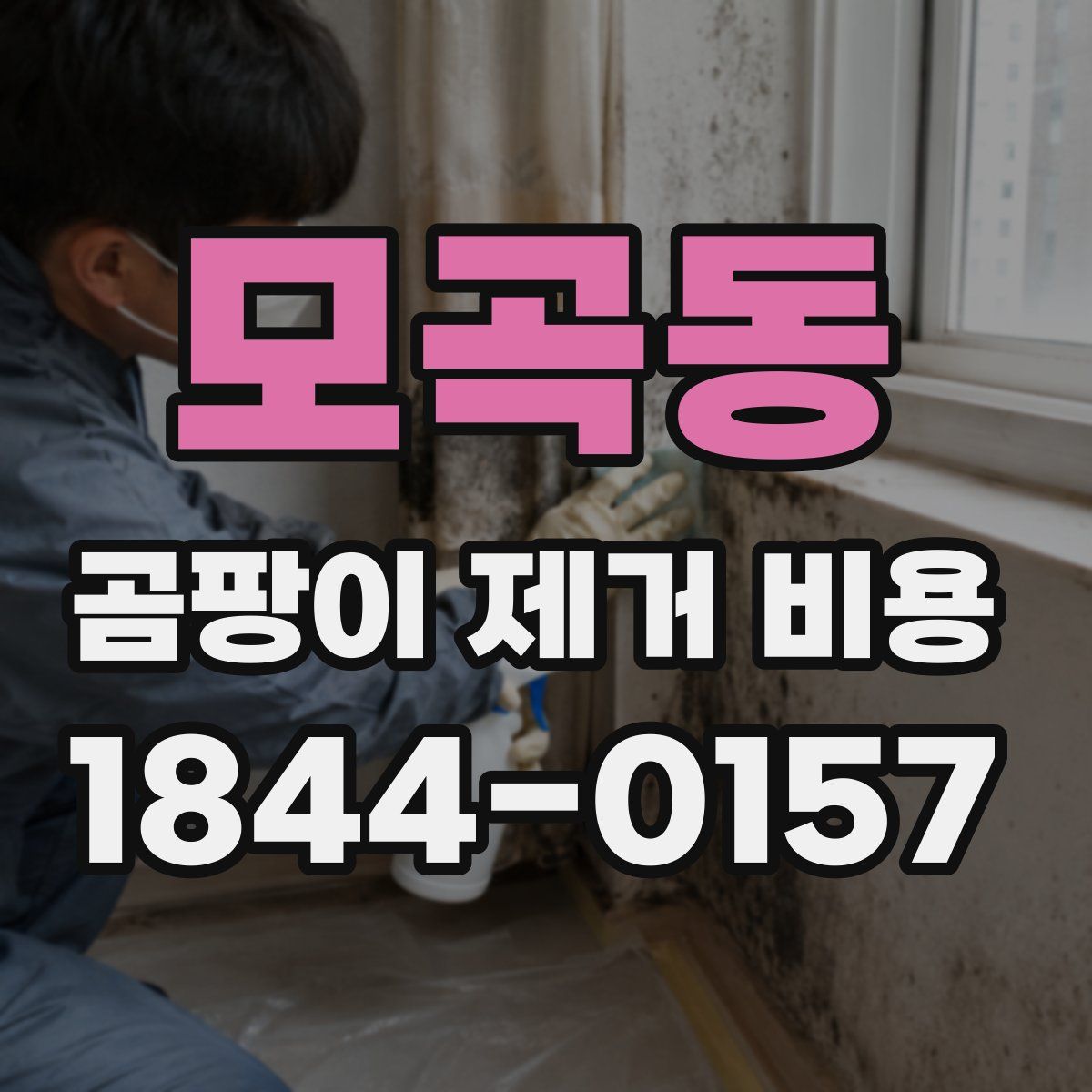 모곡동 곰팡이 제거 비용