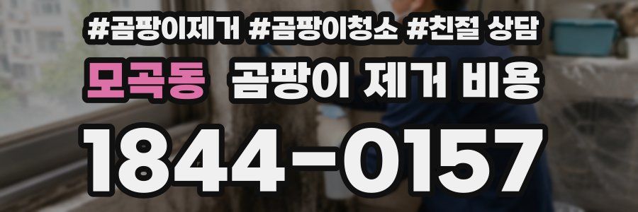 모곡동 곰팡이 제거 비용