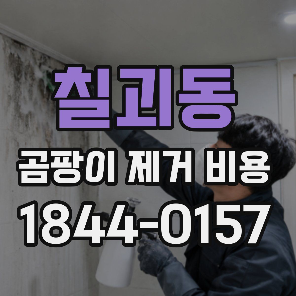 칠괴동 곰팡이 제거 비용