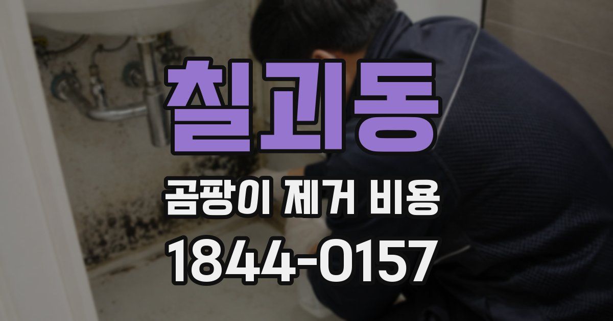 칠괴동 곰팡이 제거 비용