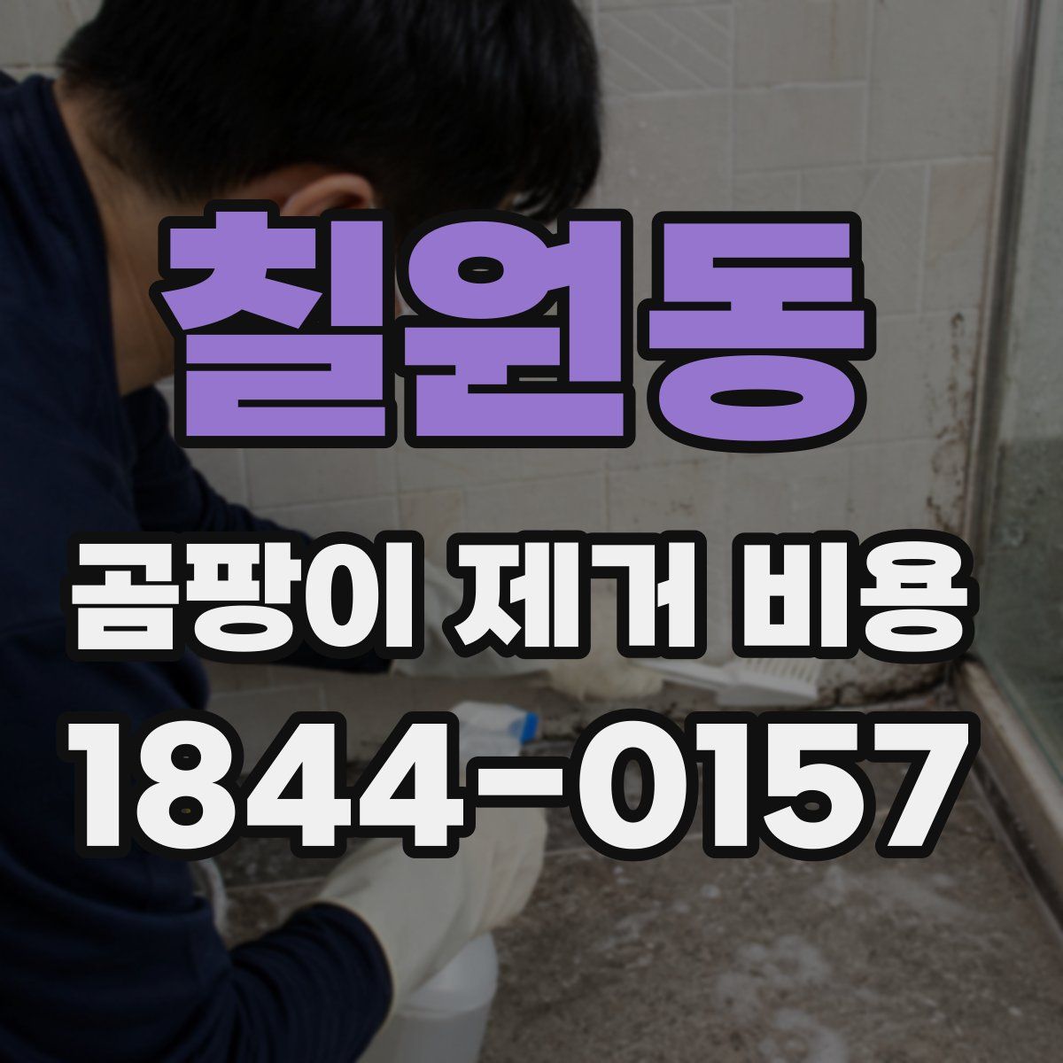 칠원동 곰팡이 제거 비용