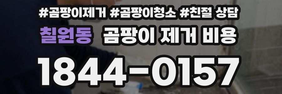 칠원동 곰팡이 제거 비용