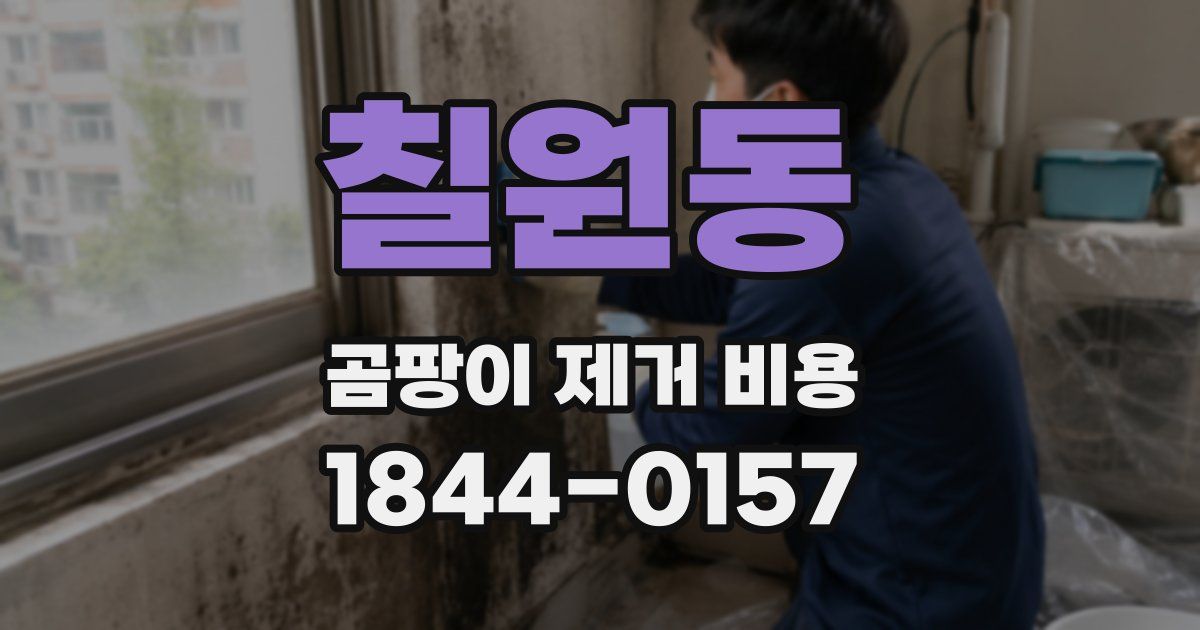 칠원동 곰팡이 제거 비용