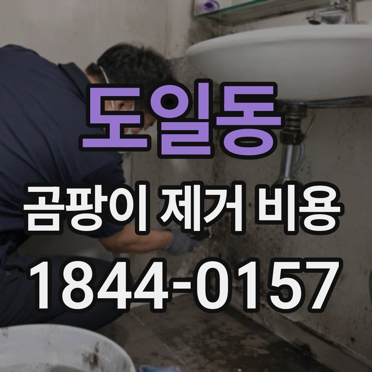 도일동 곰팡이 제거 비용
