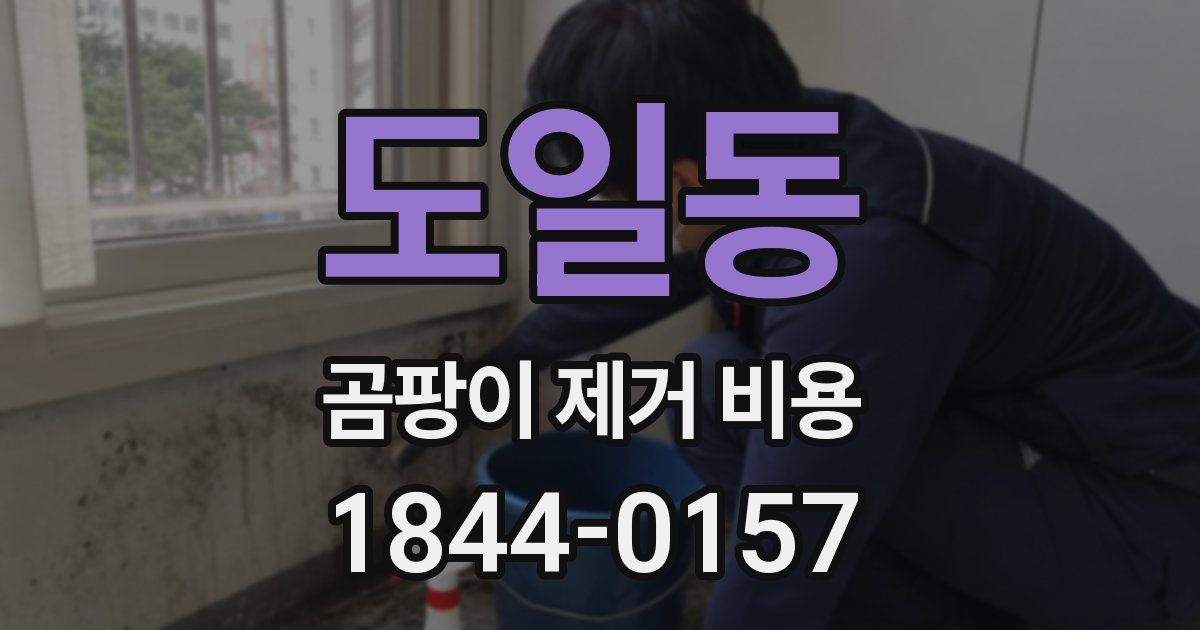 도일동 곰팡이 제거 비용