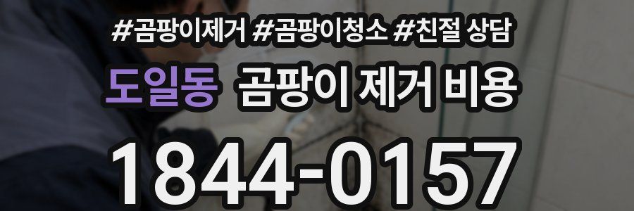 도일동 곰팡이 제거 비용