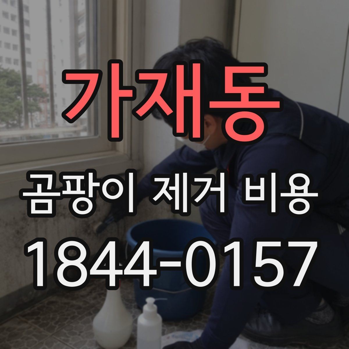 가재동 곰팡이 제거 비용 실내 습도와 환기 상태가 영향을 주는 이유