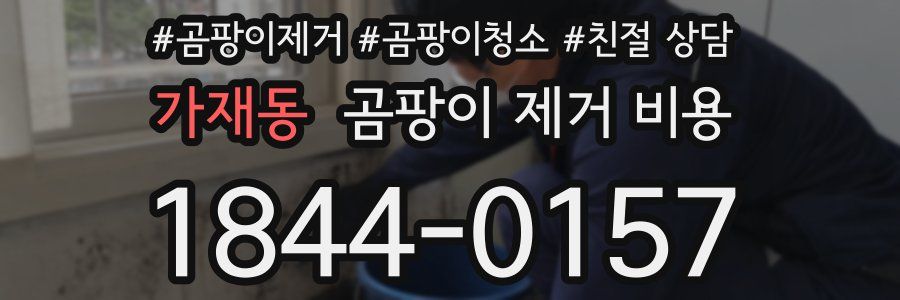 가재동 곰팡이 제거 비용