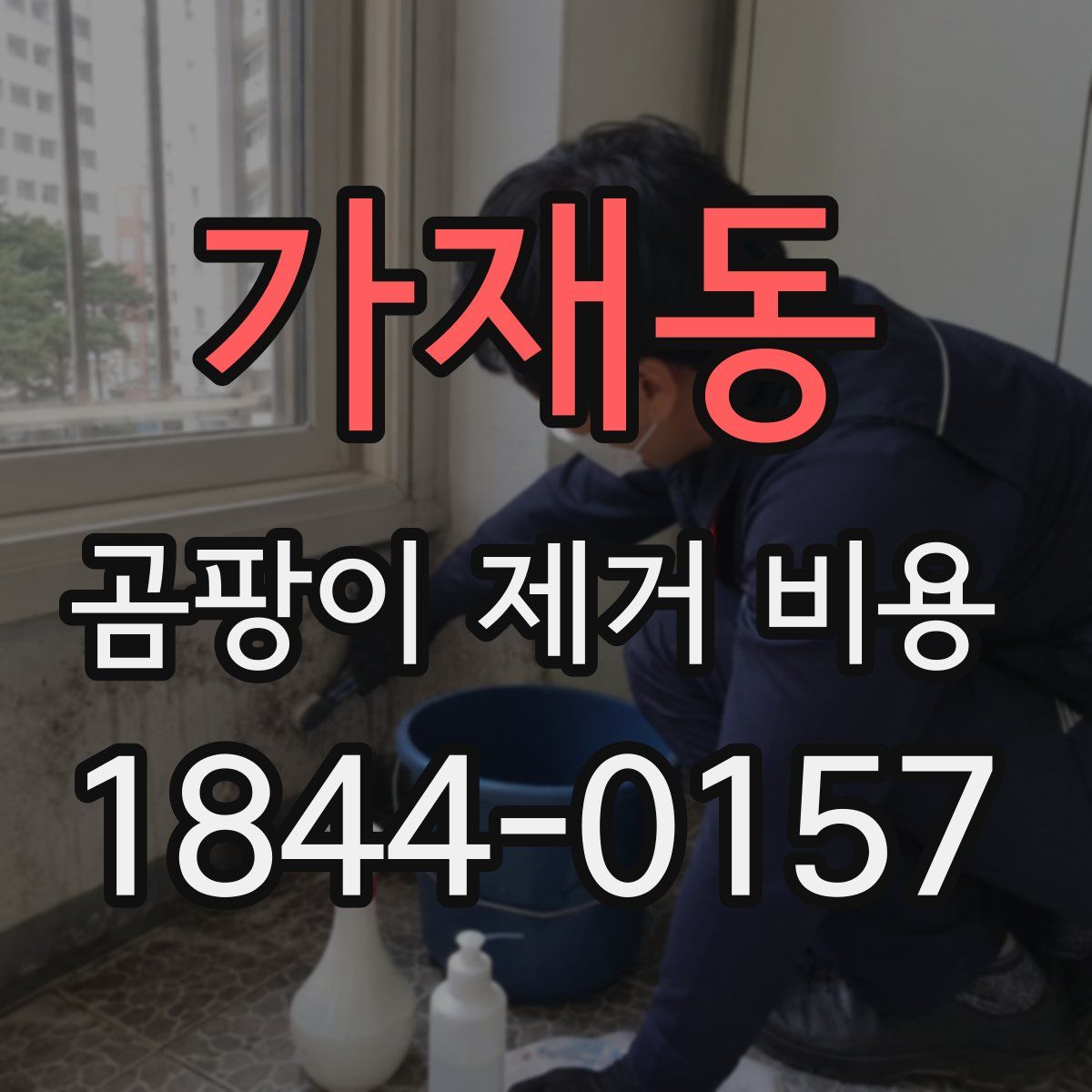가재동 곰팡이 제거 비용