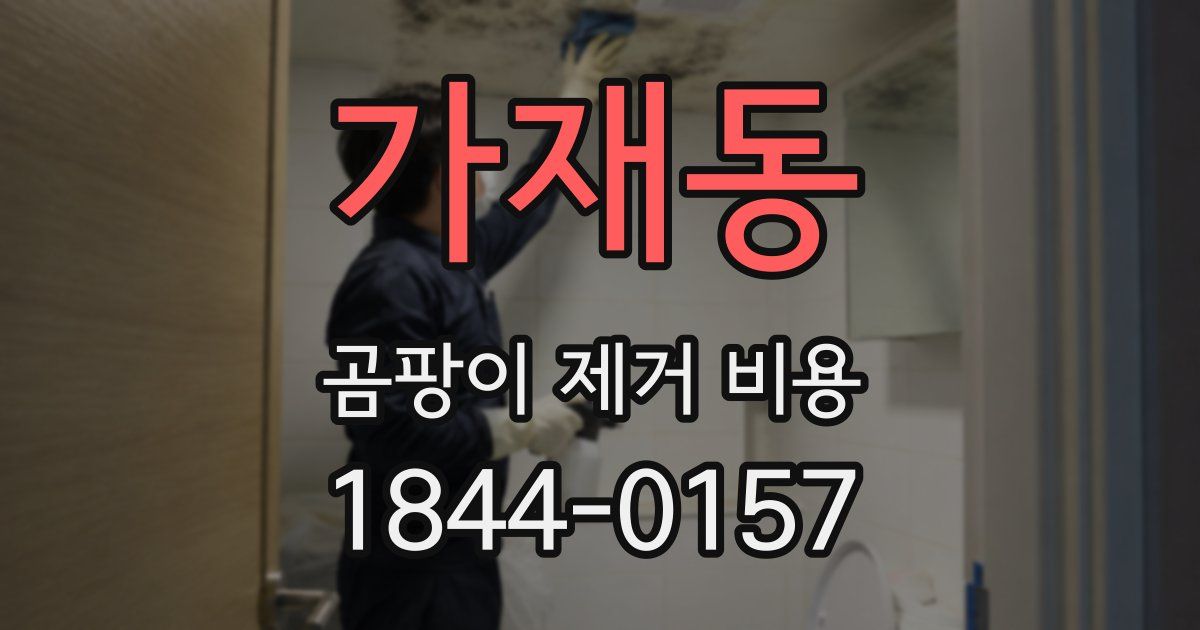 가재동 곰팡이 제거 비용